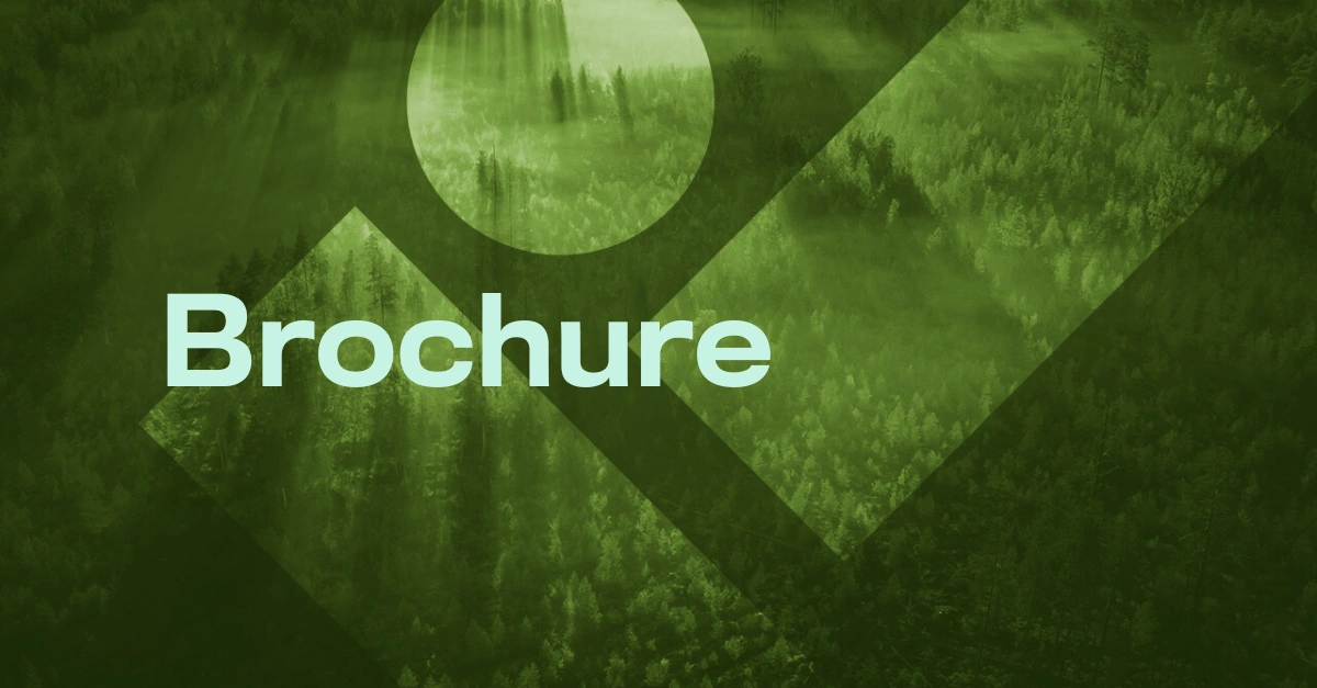 Stay Secured 24/7: Introducing WithSecure Co-Monitoring